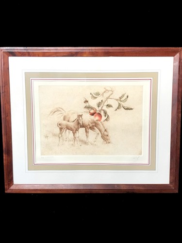 The orchard sandy scott - by,