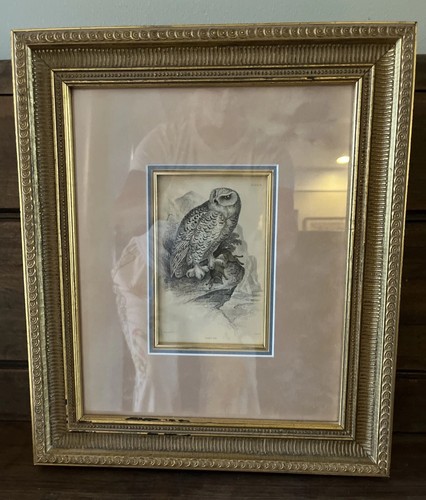 Original hand colored - original, hand-colored